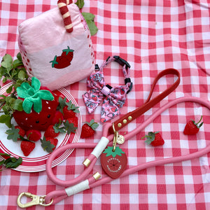 4ft Rope Lead - Red + Pink