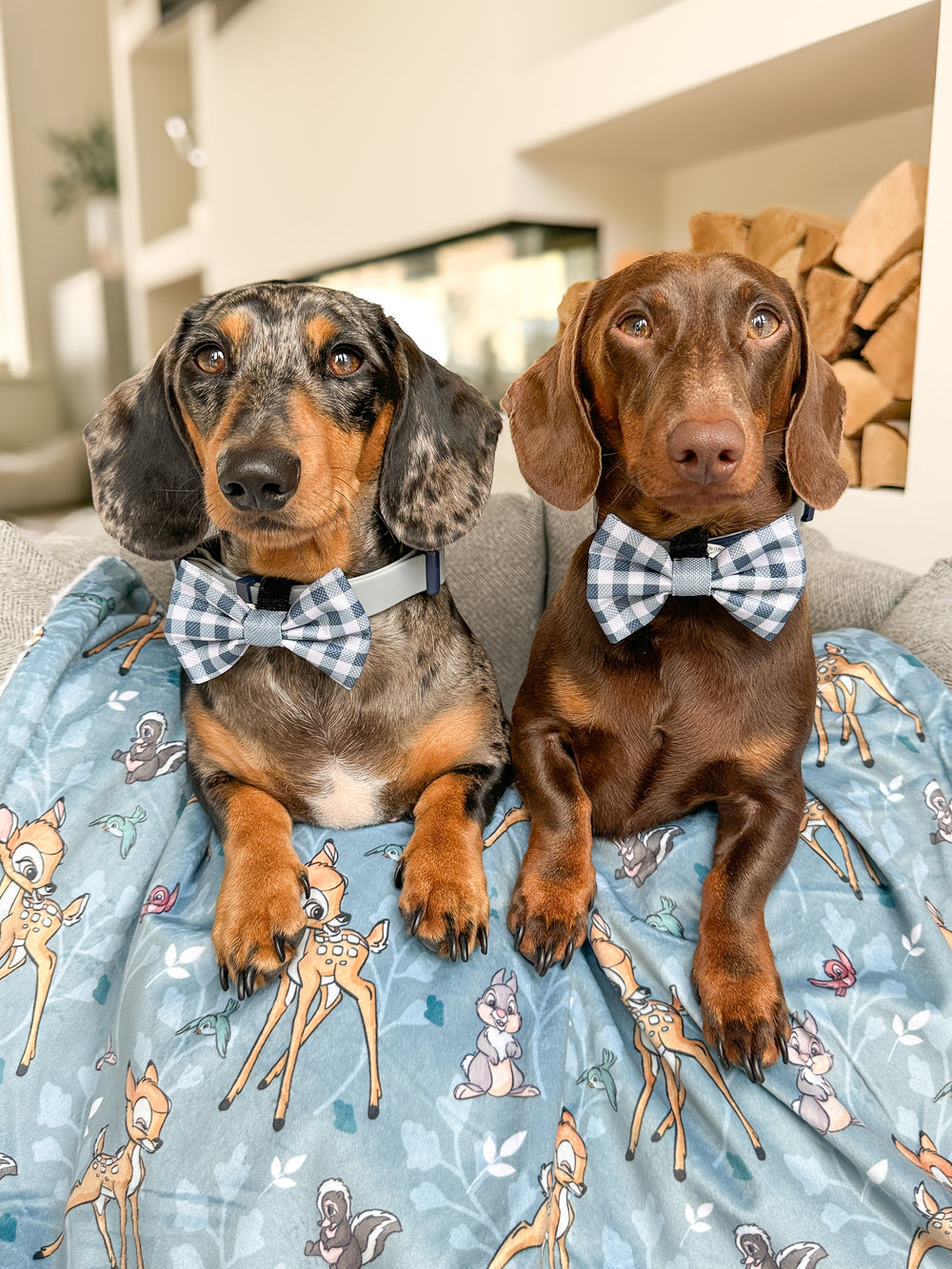 Disney© Bow Tie - Bambi + Friends Blue Gingham