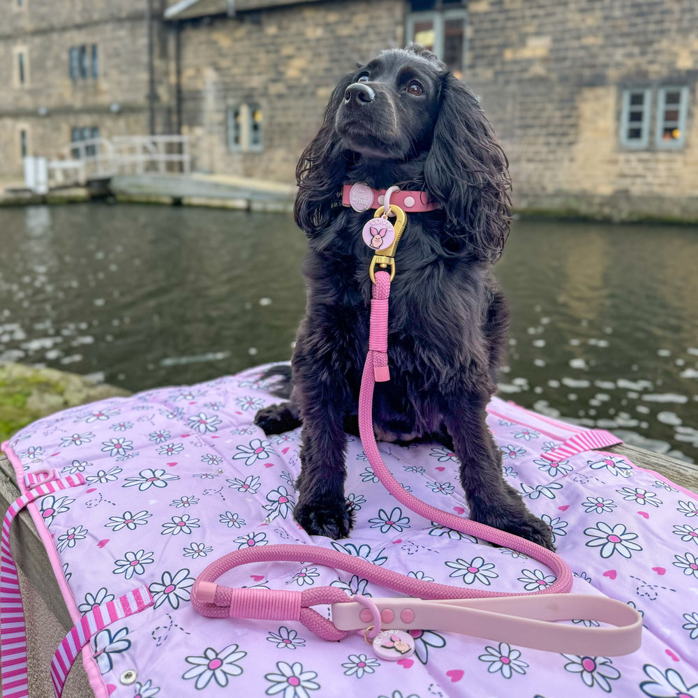 Disney© 4ft Rope Lead - Piglet - Pink