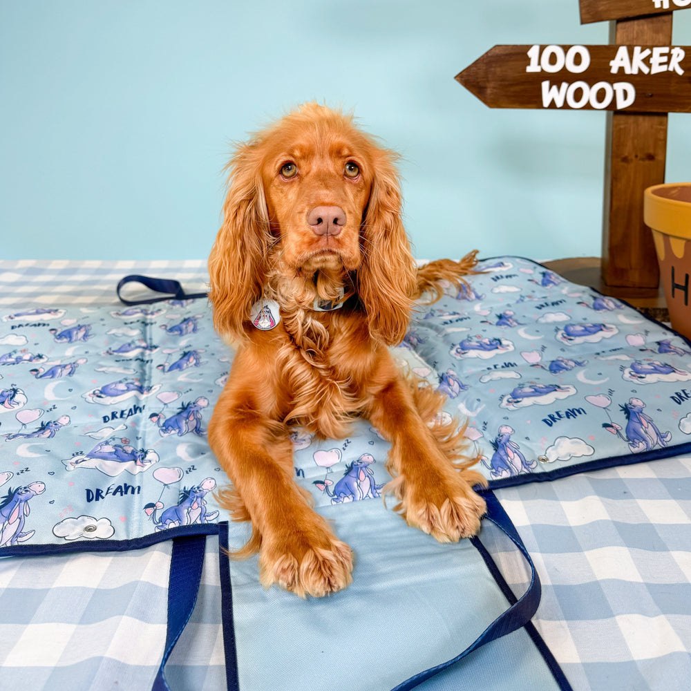 Disney© Travel Mat - Eeyore