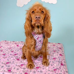 Disney© Dog Blanket - Piglet