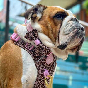 Bow Tie - Leopard Print