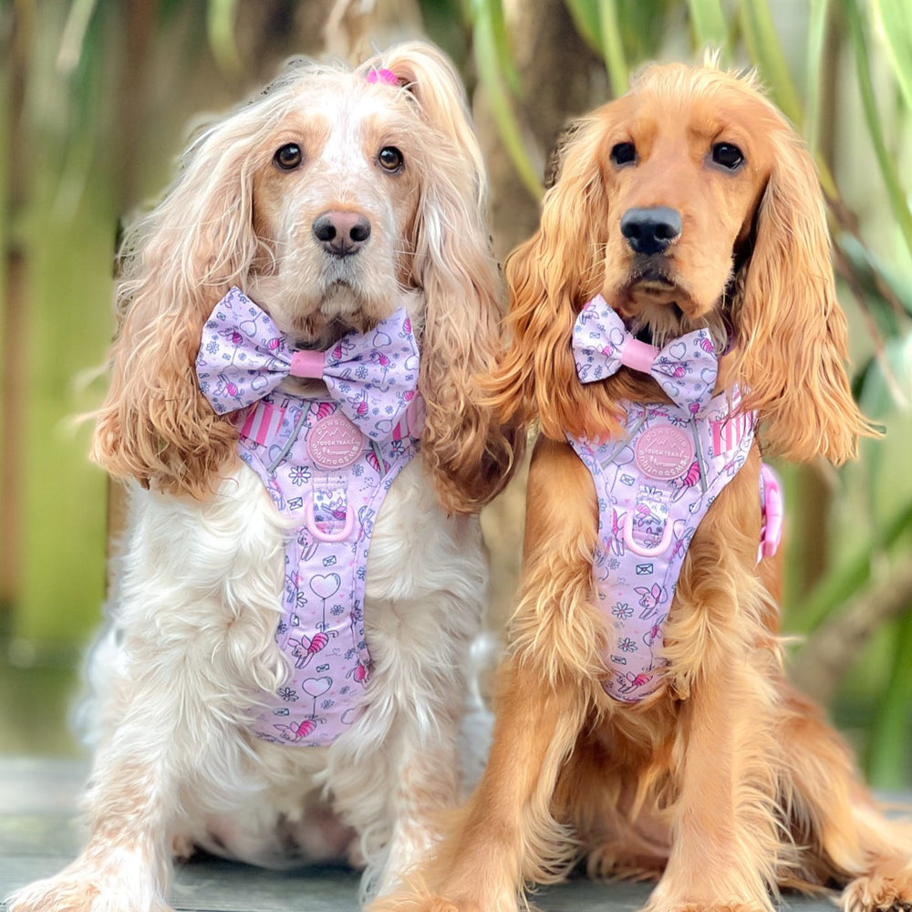 Disney© Bow Tie - Piglet