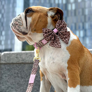 Sailor Bow - Leopard Print