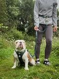 Handsfree Lead - Walkies Ready® Forest Green