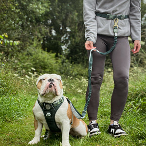 Handsfree Lead - Walkies Ready® Forest Green