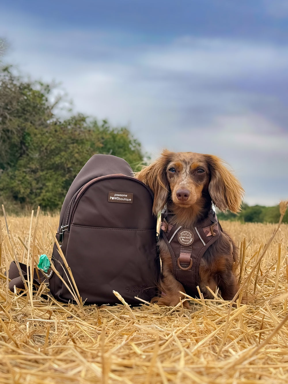 Sling Backpack - Walkies Ready® Brown
