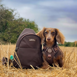 Sling Backpack - Walkies Ready® Brown