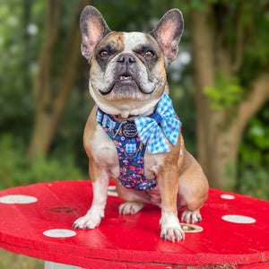 Sailor Bow - Alice In Wonderland