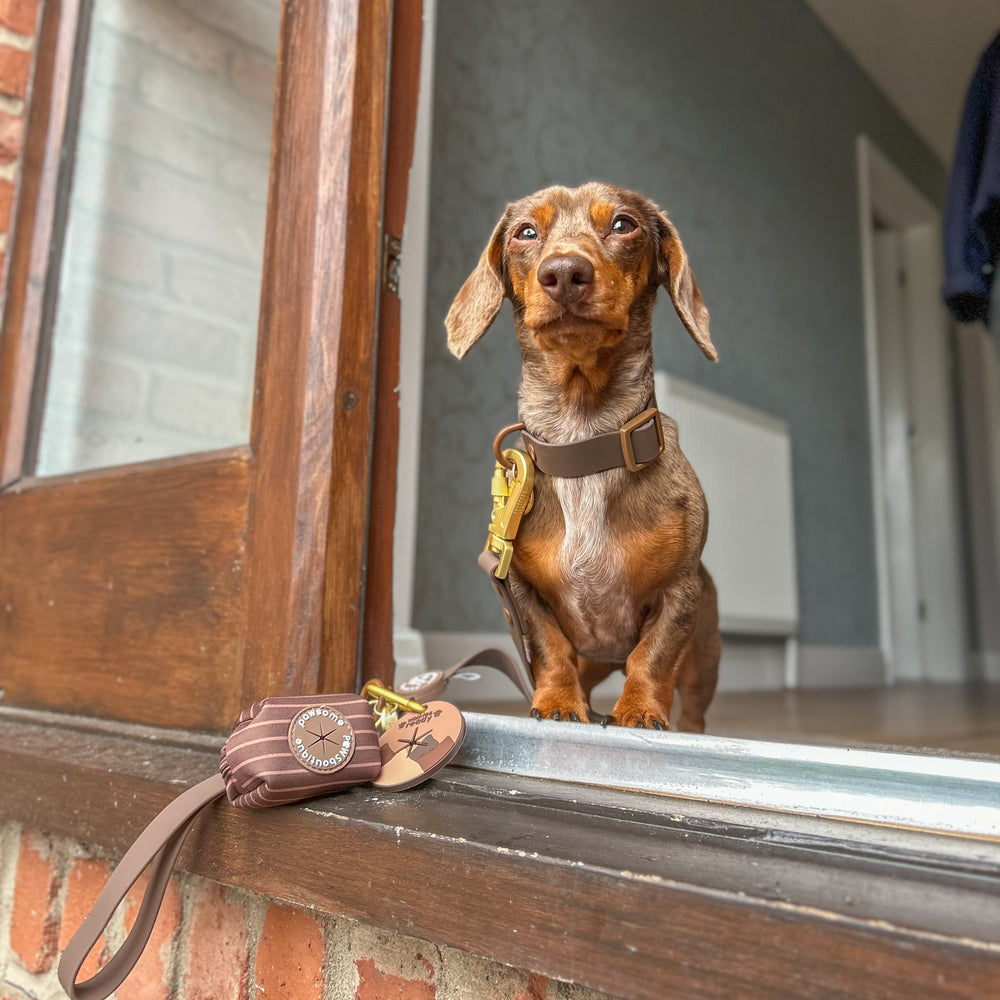 Poo Bag Holder - Walkies Ready® Chocolate Brown