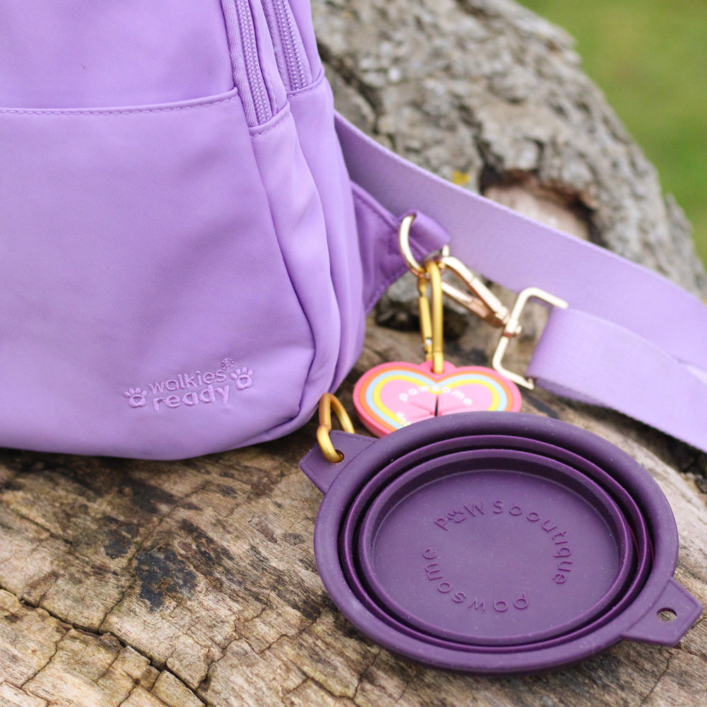 Collapsible Dog Bowl -Plum