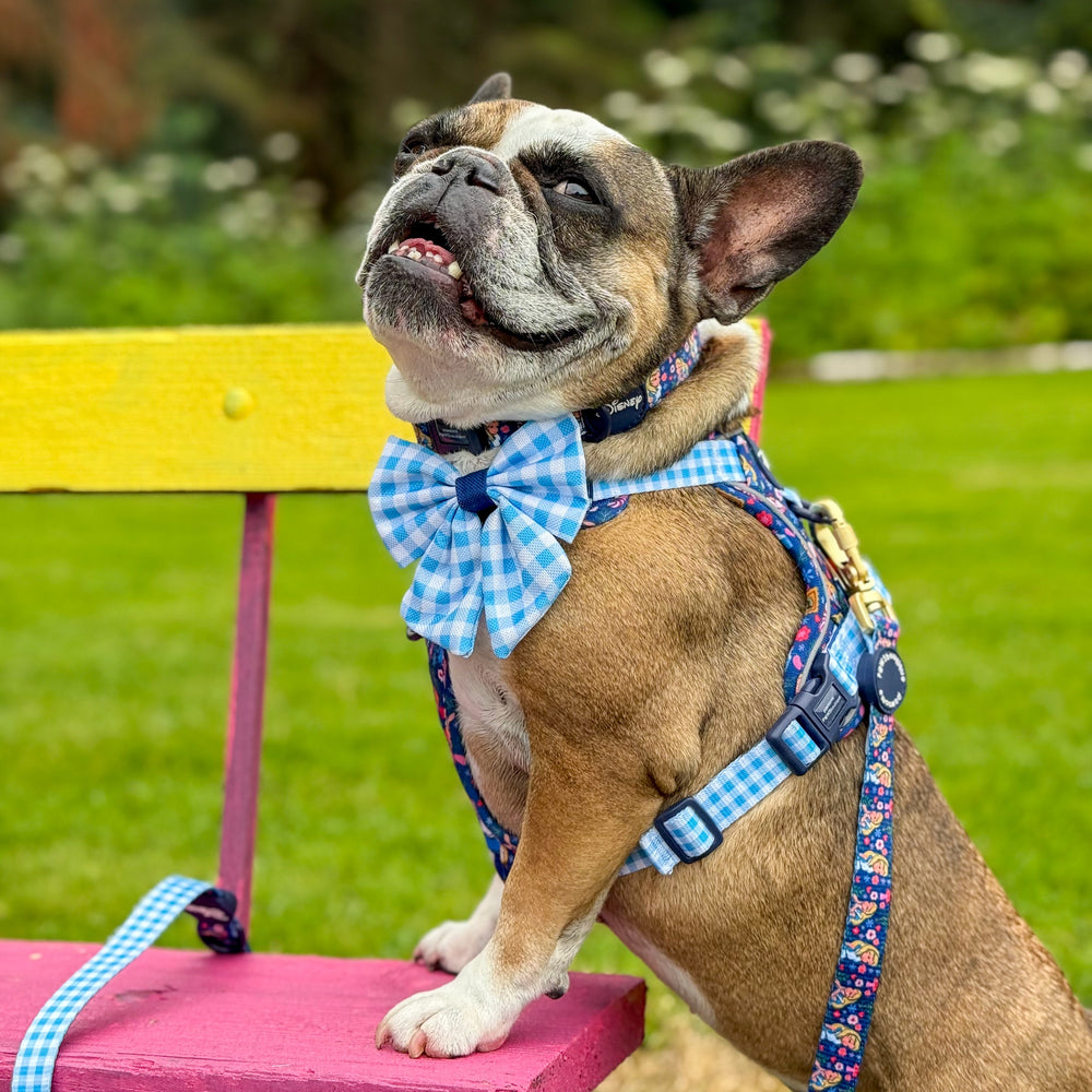 Sailor Bow - Alice In Wonderland