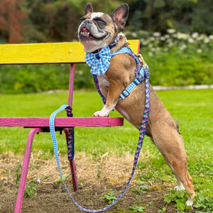 Disney© Lead - Alice In Wonderland