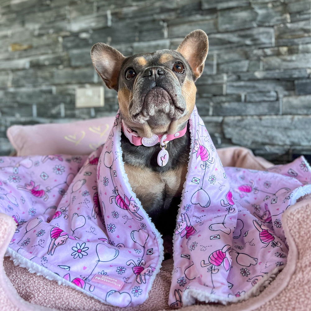 Disney© Dog Blanket - Piglet