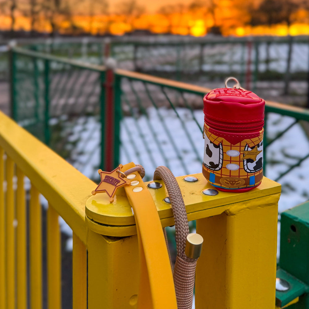 Disney© Treat Pouch - Woody