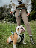 Handsfree Lead - Walkies Ready® Forest Green