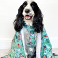 Disney© Dog Blanket - Jungle Book