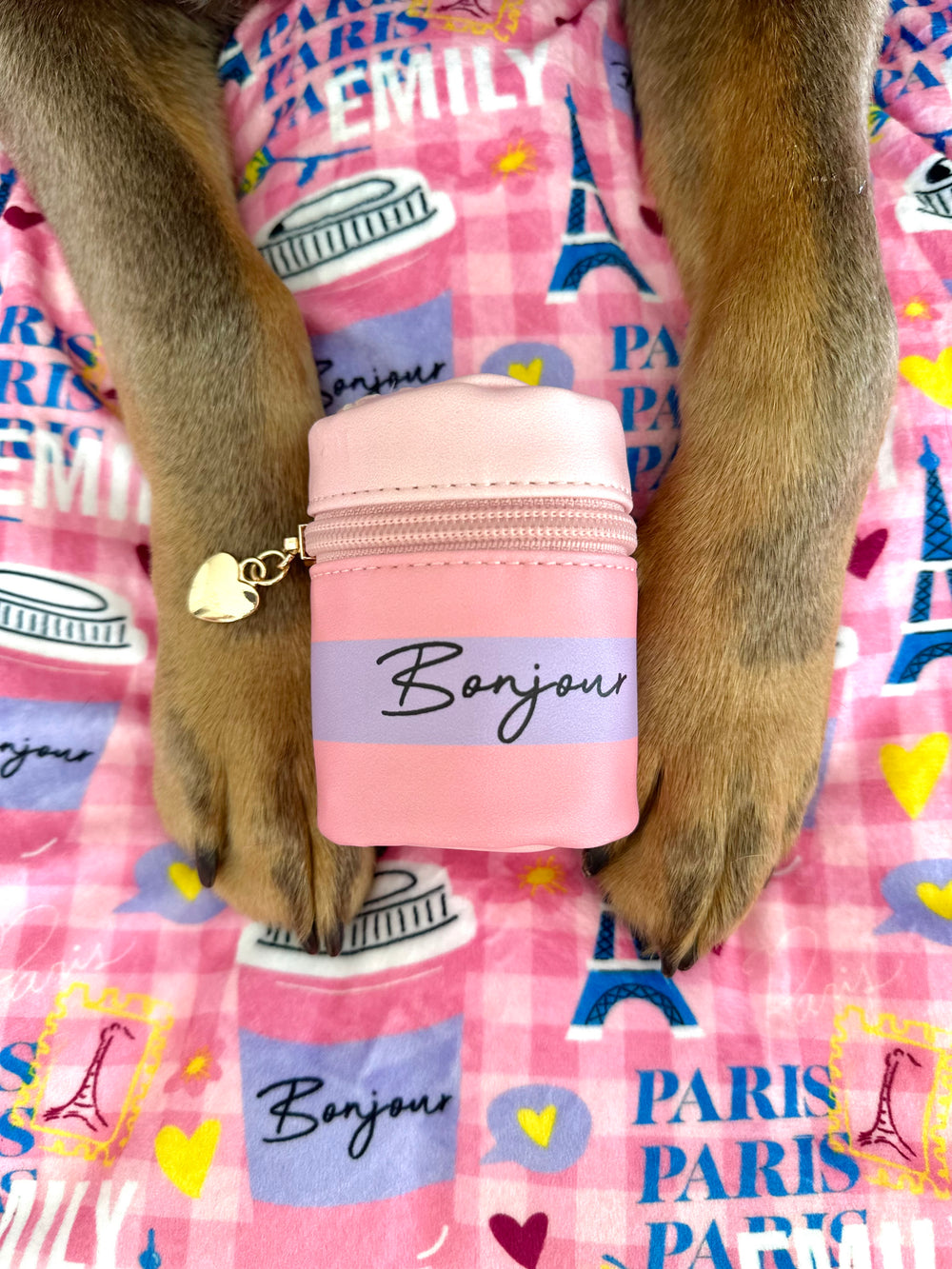 Bonjour Treat Pouch - Emily In Paris
