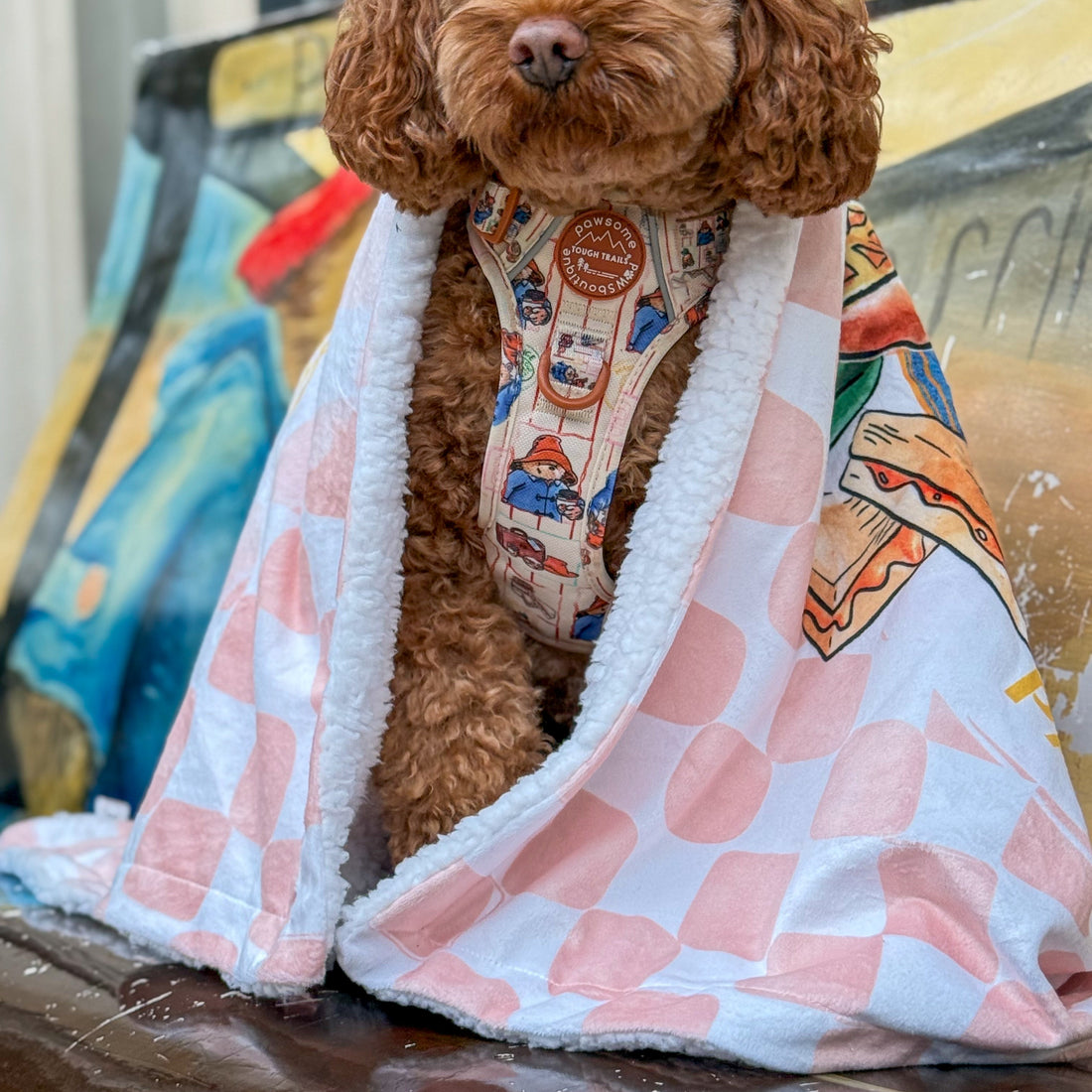 Paddington™ Dog Blanket - Peckish Paddington