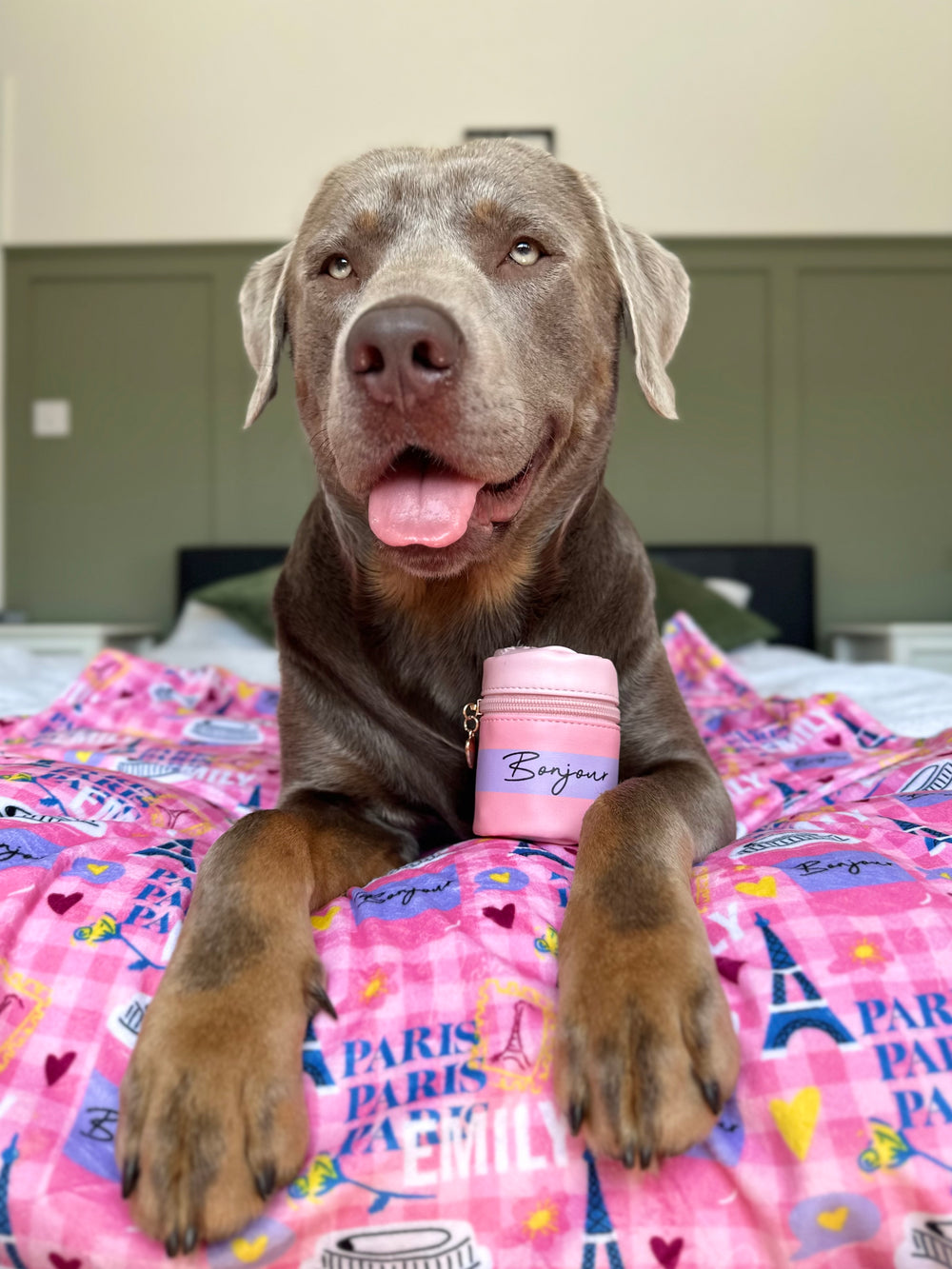 Bonjour Treat Pouch - Emily In Paris