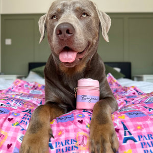 Bonjour Treat Pouch - Emily In Paris