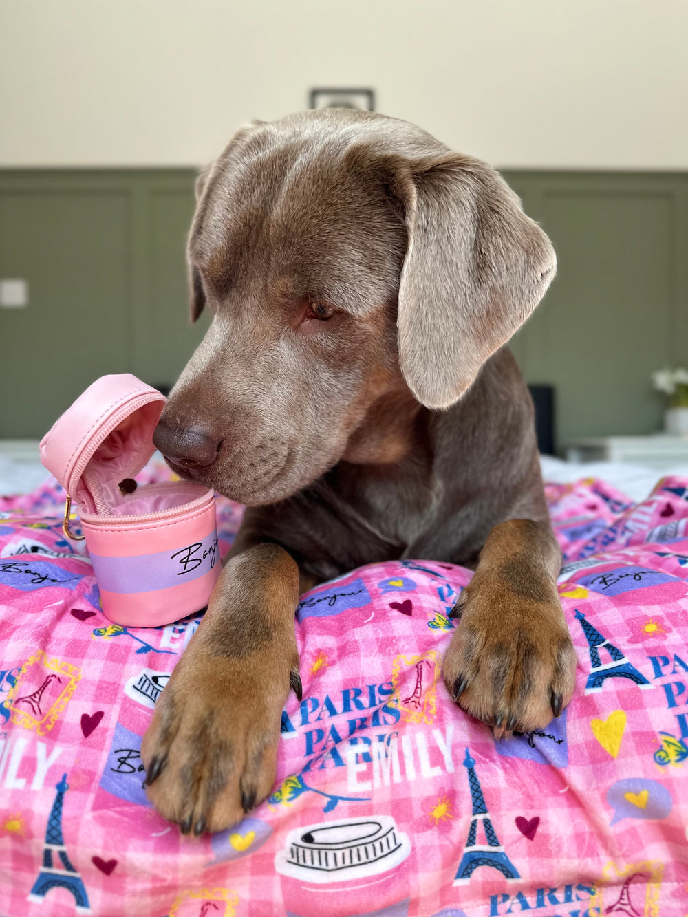 Bonjour Treat Pouch - Emily In Paris