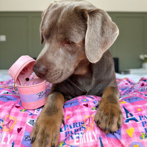 Bonjour Treat Pouch - Emily In Paris