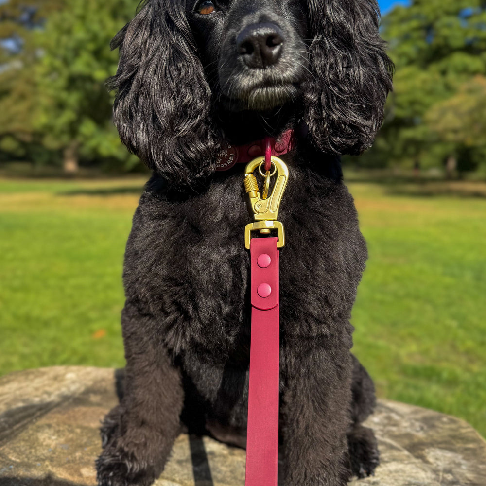 4ft Waterproof Lead - Walkies Ready® Mulberry
