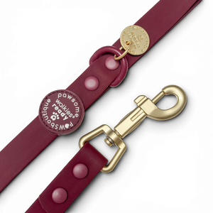 4ft Waterproof Lead - Walkies Ready® Mulberry (New Clip)