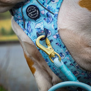 Disney© 4ft Rope Lead - Eeyore - Baby Blue and Navy