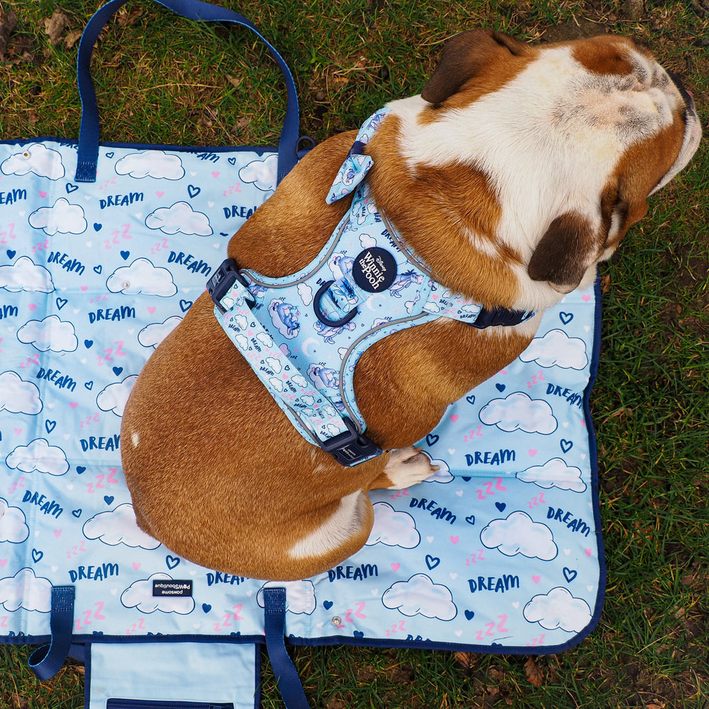 Disney© Travel Mat - Eeyore