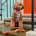 4ft Rope Lead - Rust