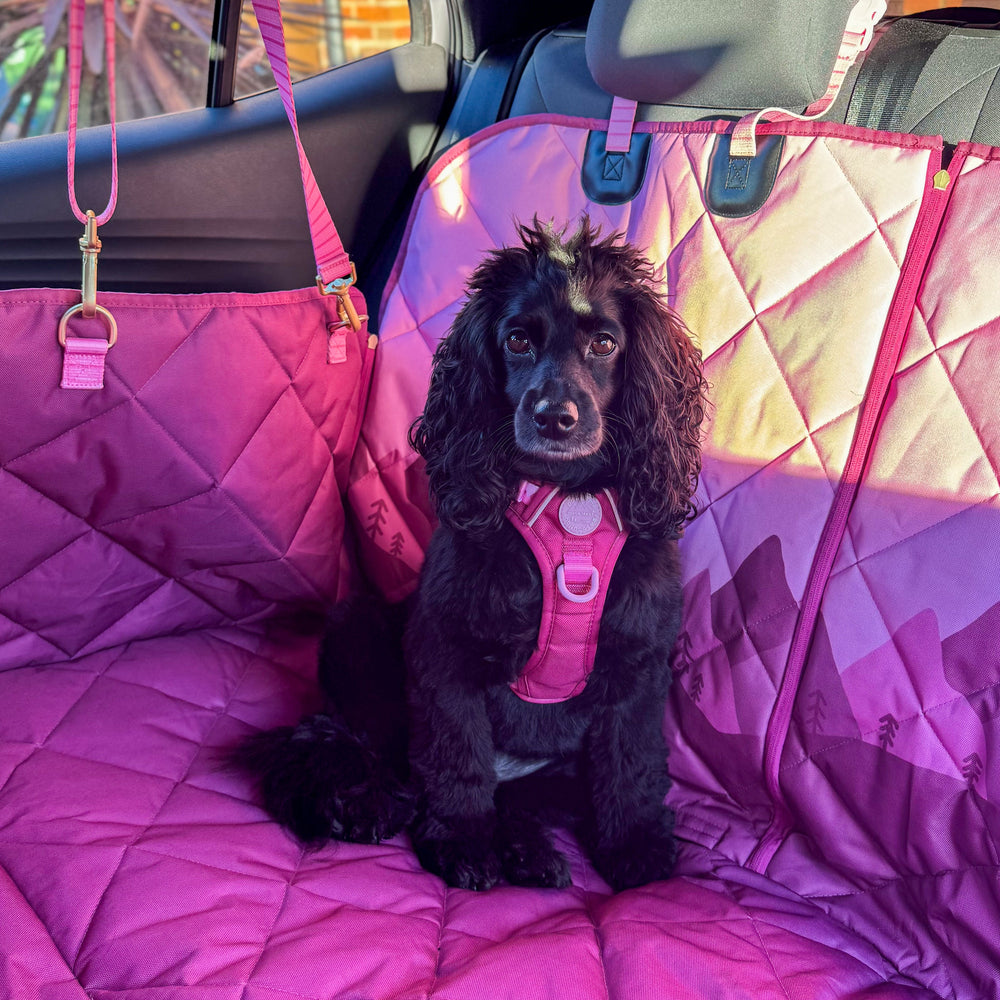 Car Seat Cover - Walkies Ready® Raspberry Pink