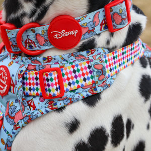 Disney© Collar - Dumbo