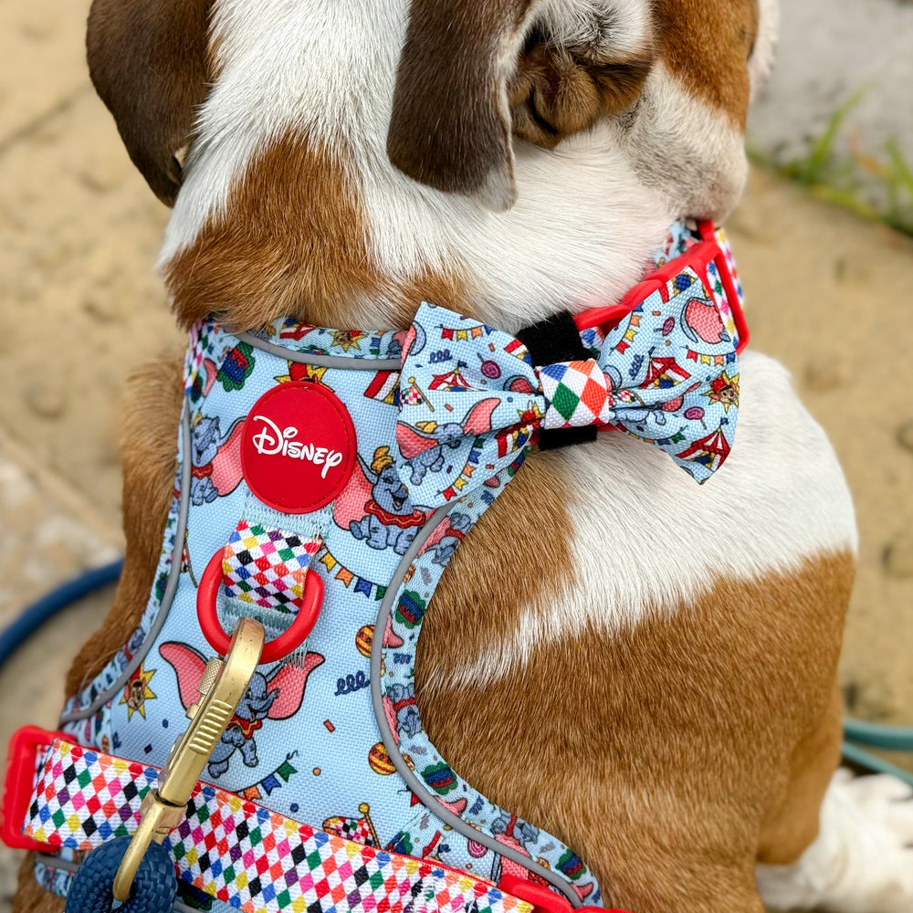 Disney© Bow Tie - Dumbo