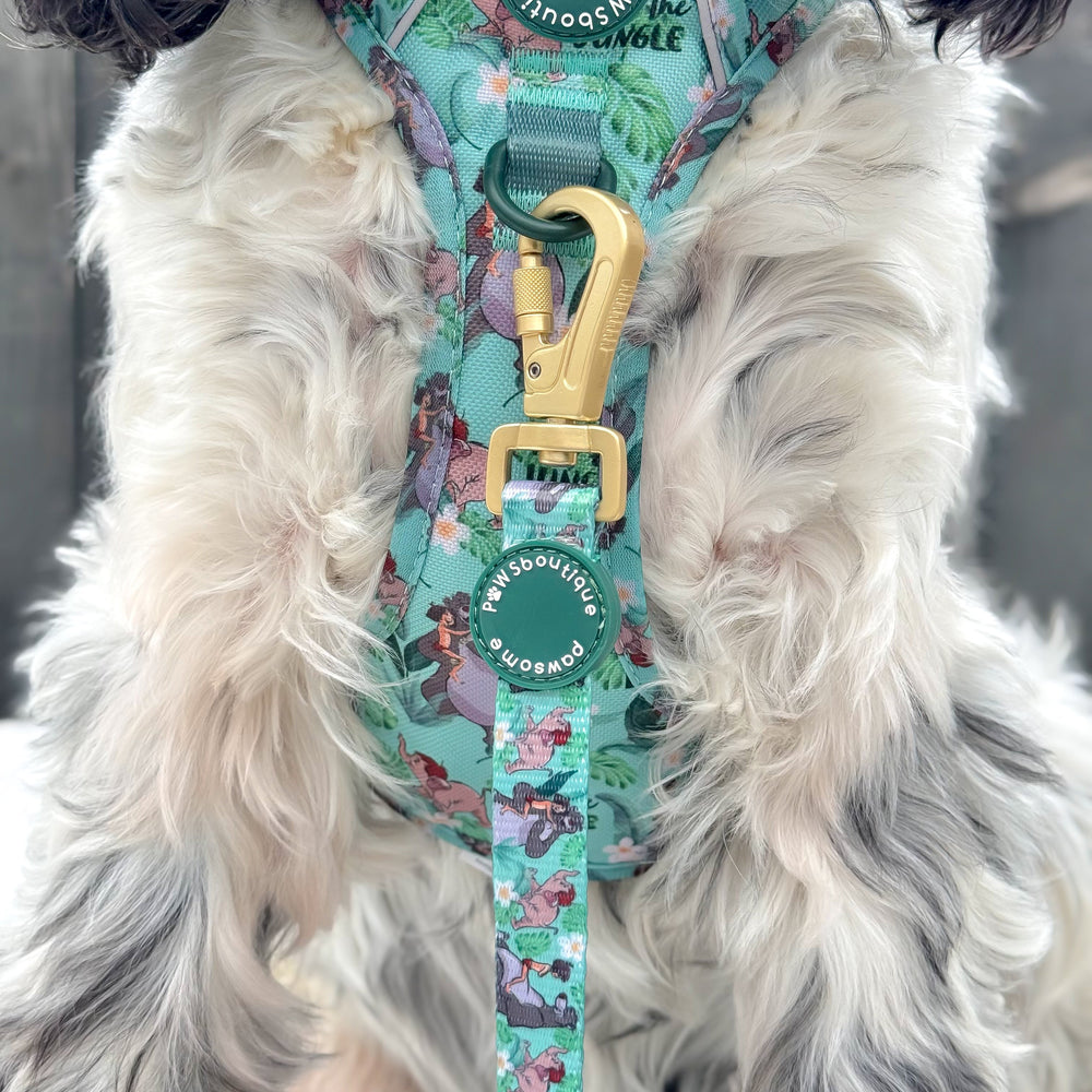 Disney© Disney©Lead - Jungle Book