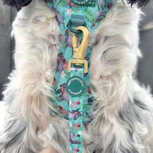 Disney© Disney©Lead - Jungle Book