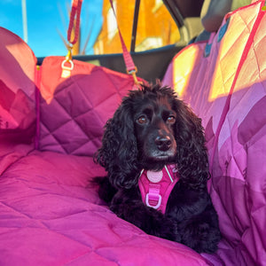 Car Seat Cover - Walkies Ready® Raspberry Pink