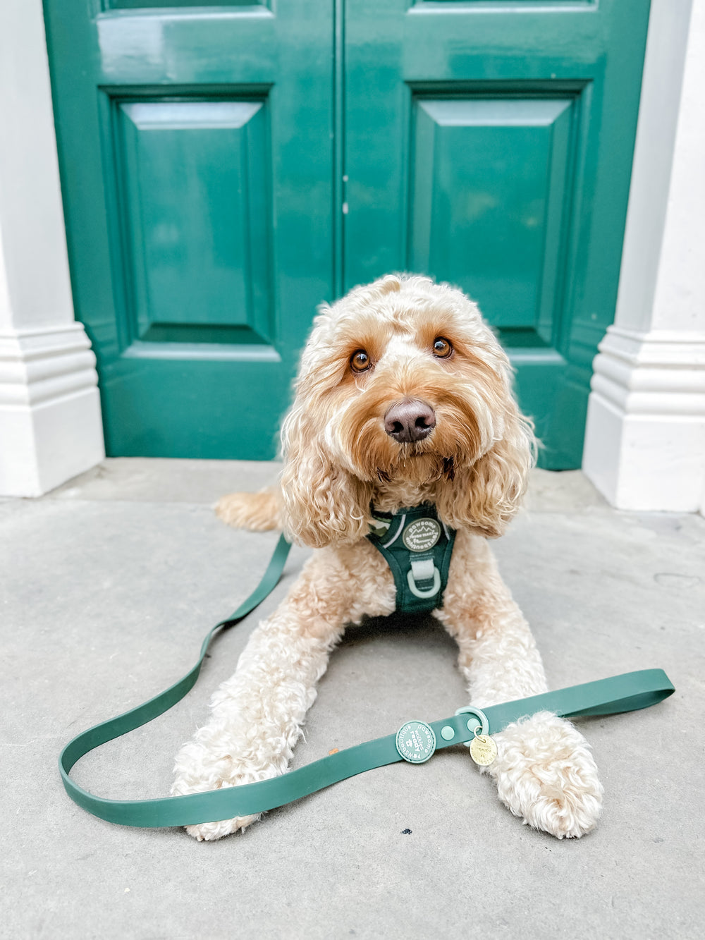 4ft Waterproof Lead - Walkies Ready® Forest Green