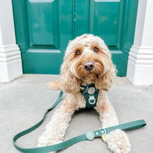 4ft Waterproof Lead - Walkies Ready® Forest Green