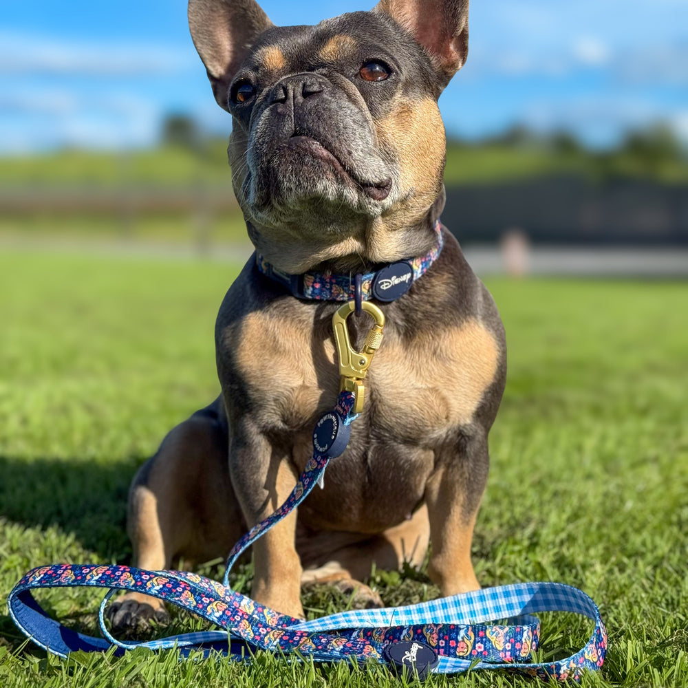 Disney© Lead - Alice In Wonderland