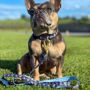 Disney© Lead - Alice In Wonderland