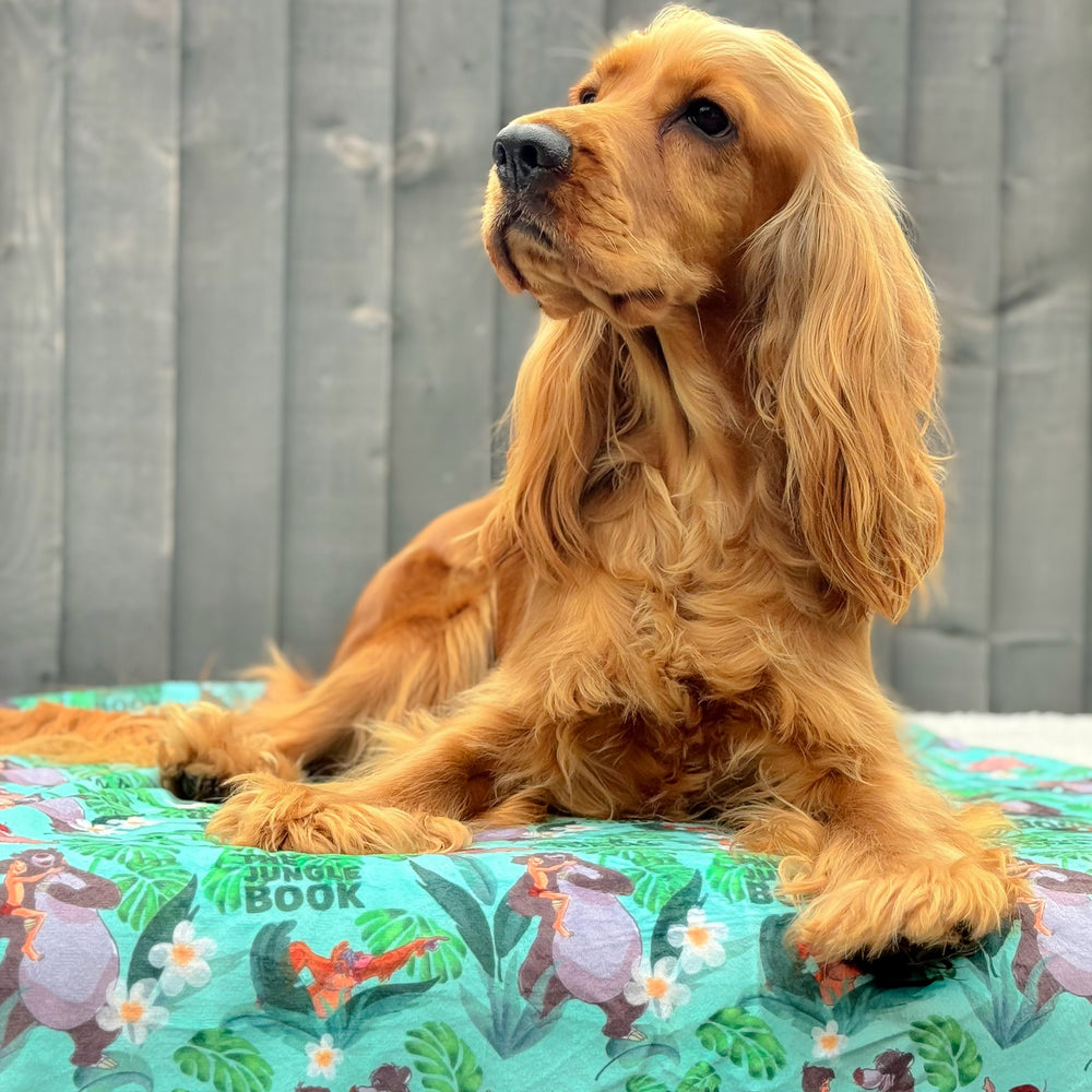 Disney© Dog Blanket - Jungle Book