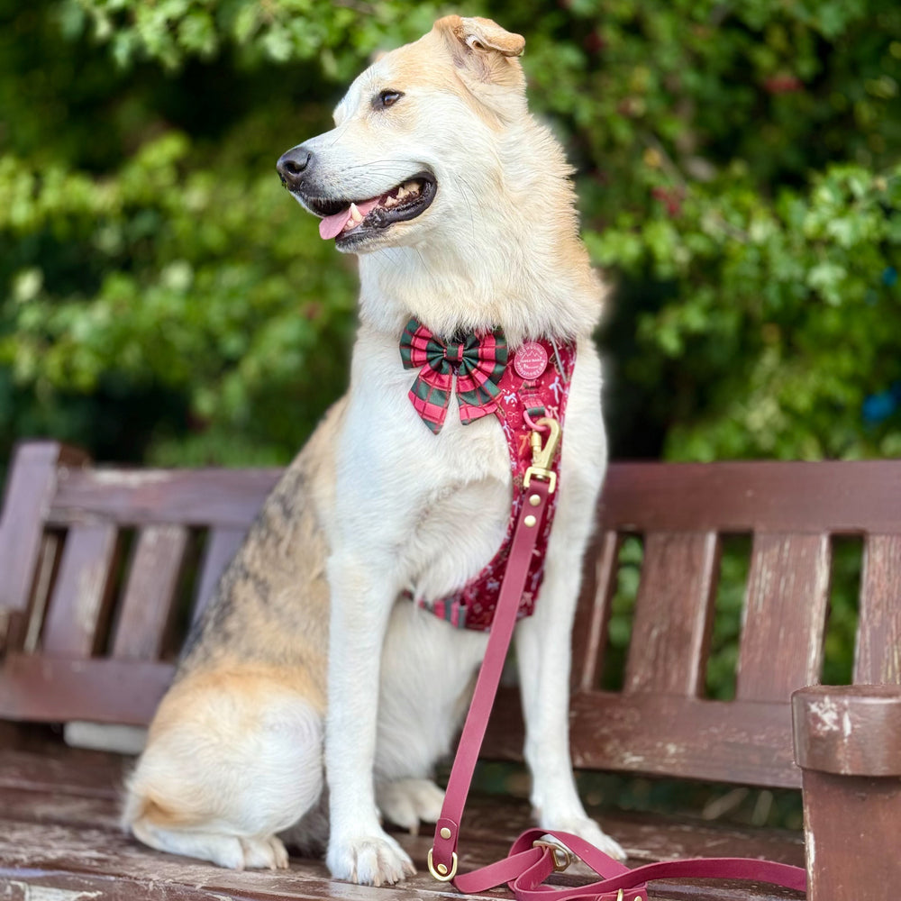 Sailor Bow - Bows Of Joy (Gingham)