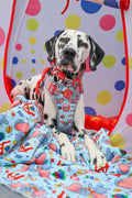 Disney© Dog Blanket - Dumbo