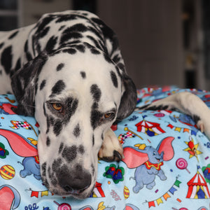 Disney© Dog Blanket - Dumbo