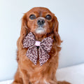 Sailor Bow - Leopard Print
