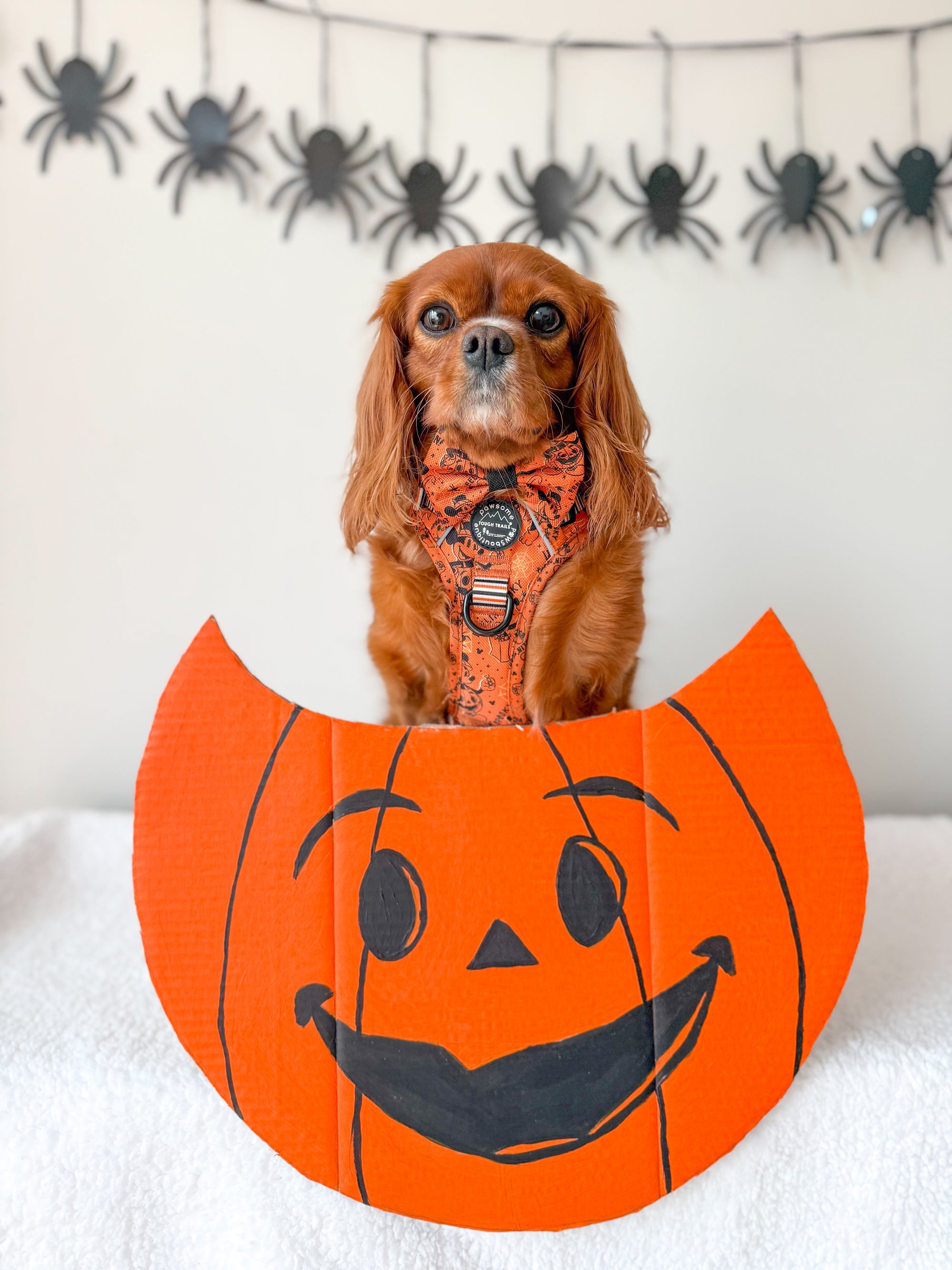 DISNEY HALLOWEEN-image