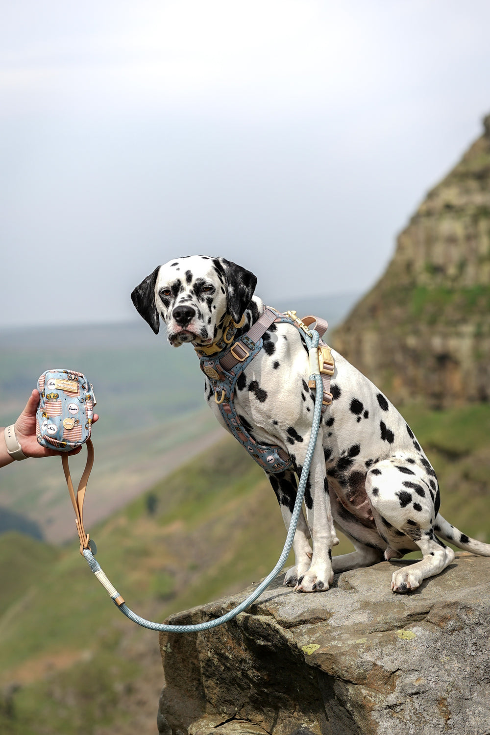Disney© Treat + Go Bag - Lion Friends