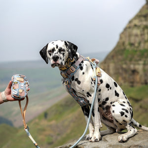 Disney© Treat + Go Bag - Lion Friends